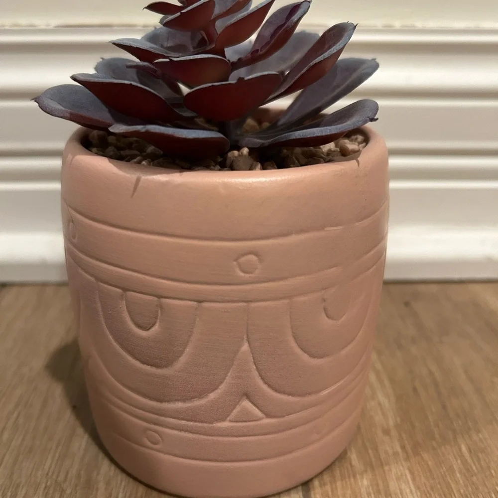Ceramic vase with succulent plant spike